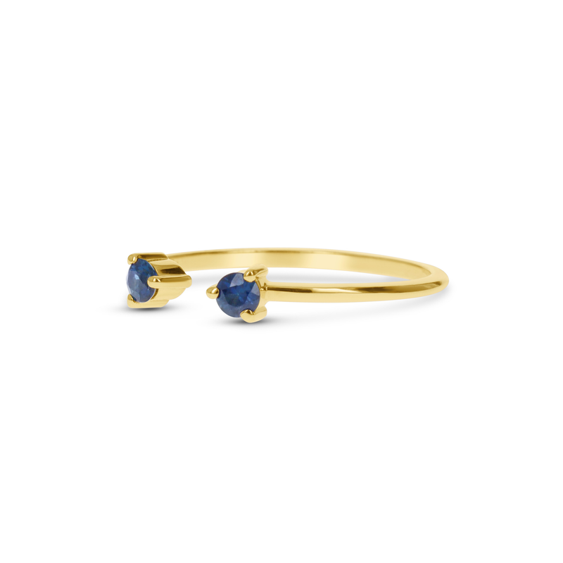 Double Sapphire Ring